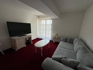 TV a/nebo společenská místnost v ubytování Hotel Sebastian u Hoffera