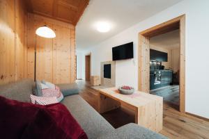 TV a/nebo společenská místnost v ubytování BEIM MOSER Apartments