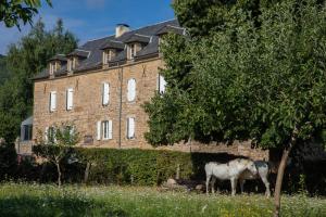 Altri animali domestici presso il bed & breakfast o nei dintorni