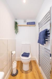 a small bathroom with a toilet and a shower at Luxury 1 bed Apartment in Portadown