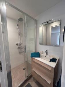 a bathroom with a sink and a glass shower at Le Premeaux, au cœur des vignes in Prémeaux +30 photos