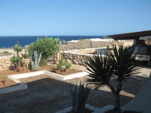 a garden with a bunch of plants and a fence at I Dammusi di Pippo in Lampedusa