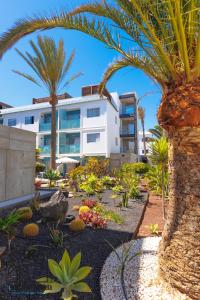 a garden with palm trees and a building at Hola Jag Corralejo Center iRent Fuerteventura in Corralejo +41 photos