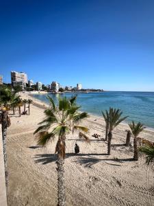 een strand met palmbomen en de oceaan bij Loft beach in Alicante