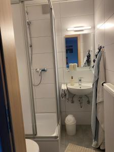 ein Badezimmer mit Dusche und Waschbecken in der Unterkunft Petryhof in Mörsdorf