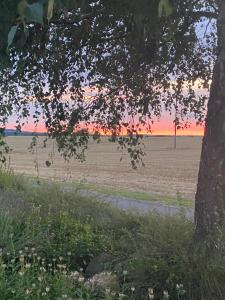 Naturlandschaft in der Nähe des Privatzimmers