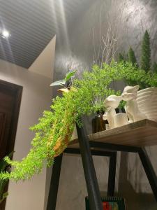 Fotografie z fotogalerie ubytování Ekehaus Đà Lạt v destinaci Khu Chi Lăng