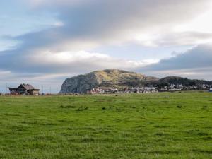 a green field with a hill in the background at Bodafon View in Llandudno