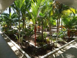 Zahrada ubytování Hotel Agua Azul Melgar Tolima