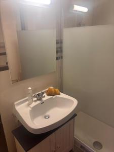 a bathroom with a white sink and a mirror at La petite récréation, Place de parking inclus in Dieppe