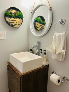 een badkamer met een wastafel en een spiegel bij Sunny Girasol Garden in Broadview