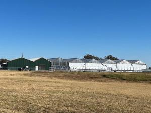 a field with a group of buildings in the background at Texoma Getaway - Tiny House on a Pharm in Cartwright
