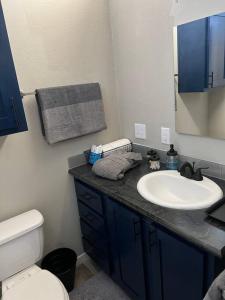 a bathroom with a sink and a toilet at Texoma Getaway - Tiny House on a Pharm in Cartwright +32 photos