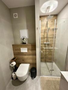 Kúpeľňa v ubytovaní Hagy Apartments