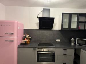 a kitchen with a pink refrigerator and a stove at Traumhafte Nächte, unvergesslich in Chemnitz