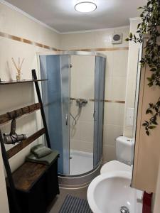 a bathroom with a shower and a toilet and a sink at Traumhafte Nächte, unvergesslich in Chemnitz