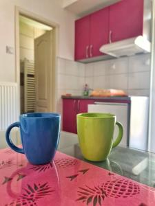 Η κουζίνα ή μικρή κουζίνα στο Maja Vujković Apartman 5