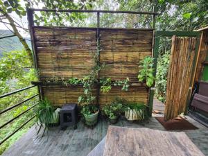 Zahrada ubytování Allegro Eco Glamping