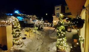 een tuin versierd met kerstverlichting in de sneeuw bij Ubytování v soukromí - Apartmán MERAN in Svoboda nad Úpou