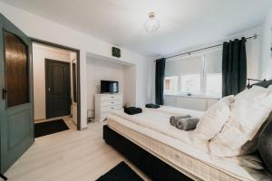 Un dormitorio grande con una cama grande y una ventana. en Fanni Apartment, en Odorheiu Secuiesc