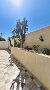 a retaining wall with plants and a cactus at Villa Romana Monastir in Monastir