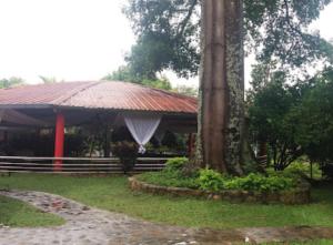 a pavilion with a large tree in a park at Casa Campestre El Silencio con Familias Exitosas in Rivera