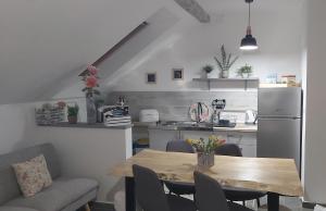 Kuchyň nebo kuchyňský kout v ubytování Studio apartman GRIZZLY