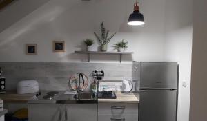Kuchyň nebo kuchyňský kout v ubytování Studio apartman GRIZZLY