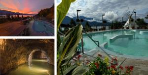 a collage of pictures of a swimming pool at Forest Nook in Queens Bay