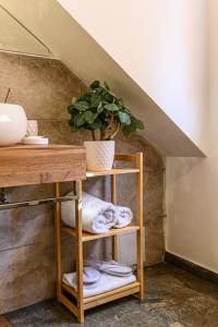 a bathroom with a shelf with towels and a plant at Dallure House Boutique Brasov in Braşov +135 photos