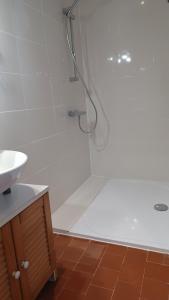 a bathroom with a shower and a sink at Bel Appartement Fonctionnel,2 grandes chambres separer plus un bz,WI FI,Clim in Digoin