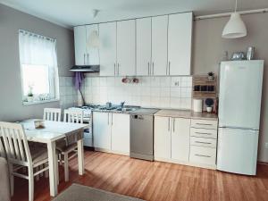 Köök või kööginurk majutusasutuses Apartman Đul