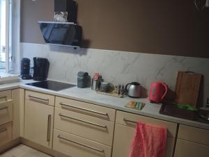 a kitchen with a sink and a counter top at FeWo Steineck leutenberg in Leutenberg +7 photos
