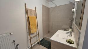 Un baño blanco con lavabo y ducha. en Appartement Clara Parking Gratuit, en Mont-Saint-Aignan 20 fotos más