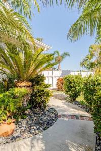 a garden with palm trees and a walk way at Beacons Beach Cottage in Encinitas