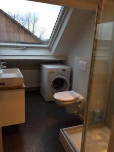 a bathroom with a toilet and a washing machine at Vakantie Appartement De Sneppelhoeve in Wuustwezel