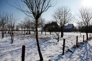 una valla en un campo cubierto de nieve con árboles en Vakantie Appartement De Sneppelhoeve, en Wuustwezel