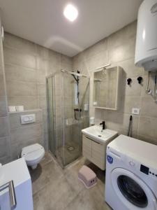 bagno con doccia, servizi igienici e lavatrice. di Vidik Divčibare a Divčibare