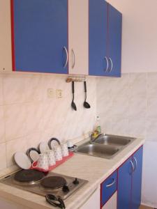 Kuchyňa alebo kuchynka v ubytovaní Apartments Sor