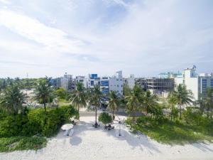 a view of a beach with palm trees and buildings at White Harp Beach in Hulhumale