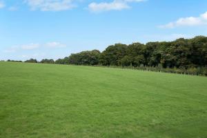 a large green field with trees in the background at Cotswold Stable Cottage in Bibury