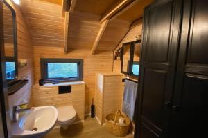 une petite salle de bain avec un lavabo et des toilettes dans l'établissement Very cozy cottage, Rauðará, with sauna, à Gilsbakki