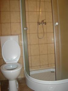 a bathroom with a toilet and a shower at Pensiunea Casa Vulkan in Ocna Sibiului