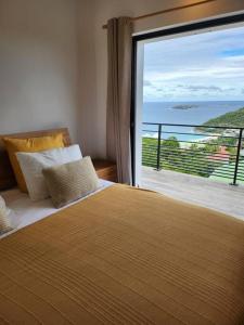 Fotografie z fotogalerie ubytování New ! Villa GAMA vue mer ! v destinaci Anse des Flamands + 26 fotografií