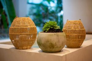 three vases sitting on a table with a plant in them at Stunning 2BR with Plunge Pool - Rooftop Sea Views in Playa del Carmen