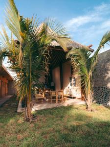 Κήπος έξω από το IGUANA HOUSE +80 φωτογραφίες