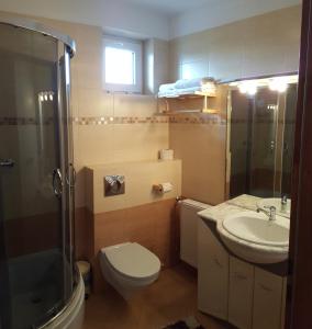 a bathroom with a toilet and a sink and a shower at Hotel Passione in Bielsko-Biała