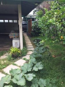 un giardino con cavoli coltivati accanto a un portico di Lucy Fan Ohana a Haiku