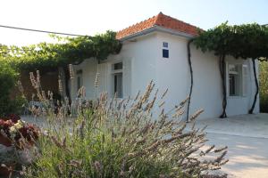 ein weißes Haus mit einem blühenden Busch davor in der Unterkunft Holiday Home Casa Bianca in Sukošan