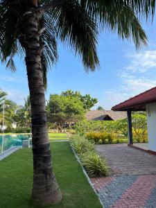 Giardino di NN Beach Resort Nilaveli